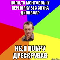 Коля,ти мєнтовську перевірку без звука дивився? Нє,я кобру дресєрував