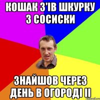 Кошак з'iв шкурку з сосиски Знайшов через день в огородi ii