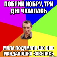 Побрий кобру, три дні чухалась мала подумала шо вже мандавошки завелись