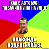 їхав в автобусі, побачив куню на уліце анаконда вздрогнулась