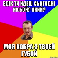 Едік ти идеш сьогодні на бой? Який? Моя кобра з твоей губой