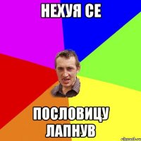 Нехуя се пословицу лапнув