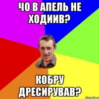 чо в апель не ходиив? кобру дресирував?