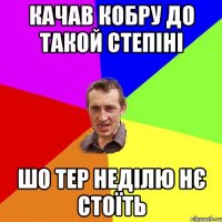 качав кобру до такой степіні шо тер неділю нє стоїть