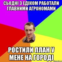 сьодні з едіком работали главними агрономами ростили план у мене на городі