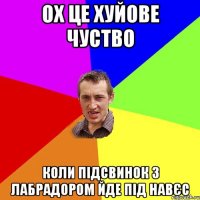 ох це хуйове чуство коли підсвинок з лабрадором йде під навєс