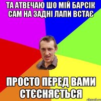 Та атвечаю шо мій Барсік сам на задні лапи встає Просто перед вами стєсняється