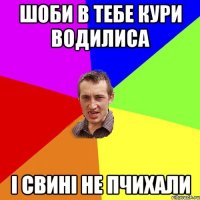 шоби в тебе кури водилиса і свині не пчихали