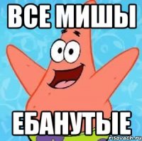 все мишы ебанутые