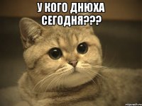 у кого днюха сегодня??? 