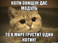 коли онищук дає модуль то в мире грустит один котик!