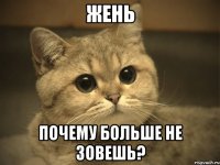 жень почему больше не зовешь?