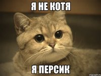 я не котя я персик