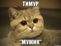 тимур "мужик"