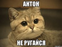 антон не ругайся