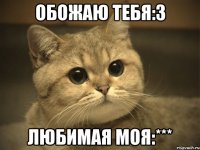 обожаю тебя:3 любимая моя:***