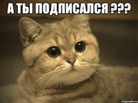 а ты подписался ??? 