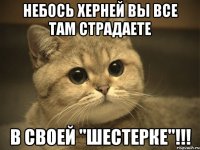 Небось херней вы все там страдаете в своей "шестерке"!!!