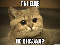 ты ещё не сказал?