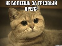 Не болеешь за Трезвый орел? 