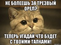 Не болеешь за Трезвый орел? Теперь угадай что будет с твоими тапками!