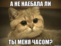 А НЕ НАЕБАЛА ЛИ ТЫ МЕНЯ ЧАСОМ?