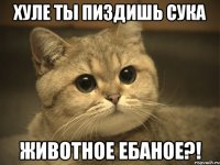 хуле ты пиздишь сука животное ебаное?!