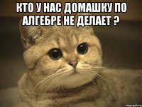 Кто у нас домашку по алгебре не делает ? 