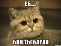 еб..... бля ты баран