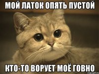 мой латок опять пустой кто-то ворует моё говно