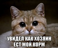  увидел как хозяин ест мой корм