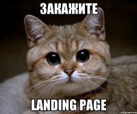 закажите landing page