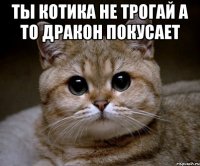 ты котика не трогай а то дракон покусает 