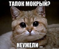 тапок мокрый? неужели ...