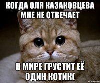 когда оля казаковцева мне не отвечает в мире грустит её один котик(