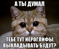 а ты думал тебе тут иероглифы выкладывать будут?