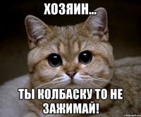 Хозяин... Ты колбаску то не зажимай!