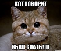 Кот говорит КЫШ СПАТЬ!)))