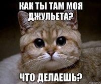 как ты там моя джульета? что делаешь?