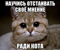 научись отстаивать своё мнение ради кота