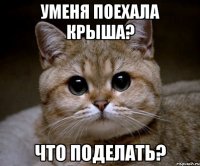 Уменя поехала крыша? Что поделать?