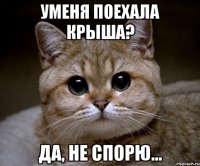 Уменя поехала крыша? Да, не спорю...