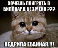 Хочешь поиграть в биллиард без меня ??? Педрила Ебанная !!!