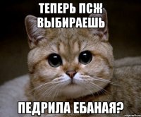 Теперь ПСЖ выбираешь педрила ебаная?