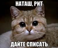 наташ, рит дайте списать