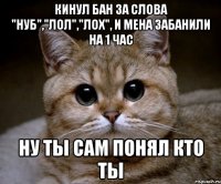 Кинул бан за слова "нуб","лол","лох", и мена забанили на 1 час ну ты сам понял кто ты