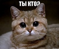 ты кто? 