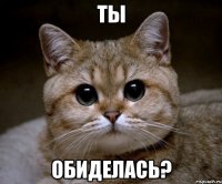 Ты Обиделась?