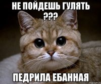 Не пойдешь гулять ??? Педрила Ебанная