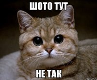 шото тут не так